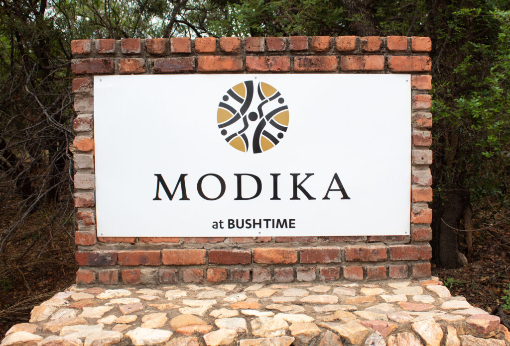 BushTime Modika 2