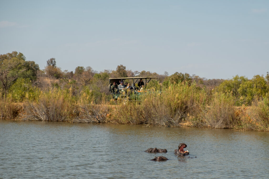 Bush Time Modjadji safari