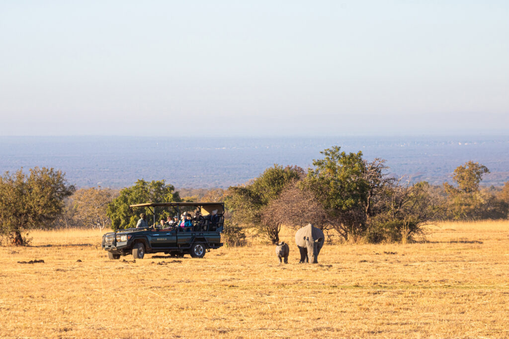 Bush Time safari with rhinos