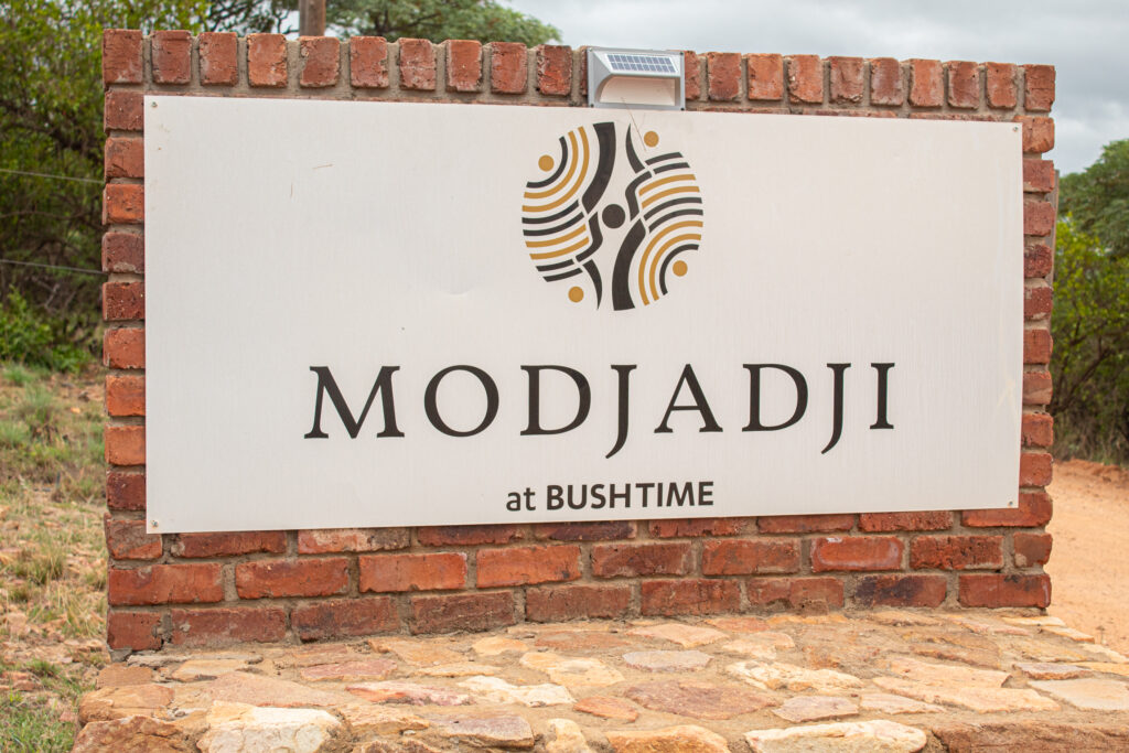 BushTime Modjadji 1